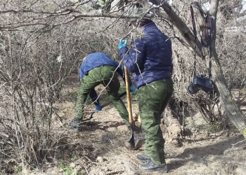 Encuentran fosas con restos humanos de 10 personas en Luis Moya, Zacatecas