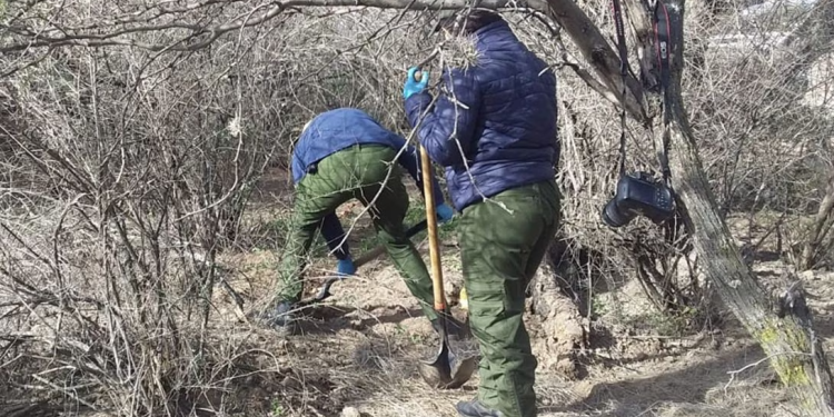 Encuentran fosas con restos humanos de 10 personas en Luis Moya, Zacatecas