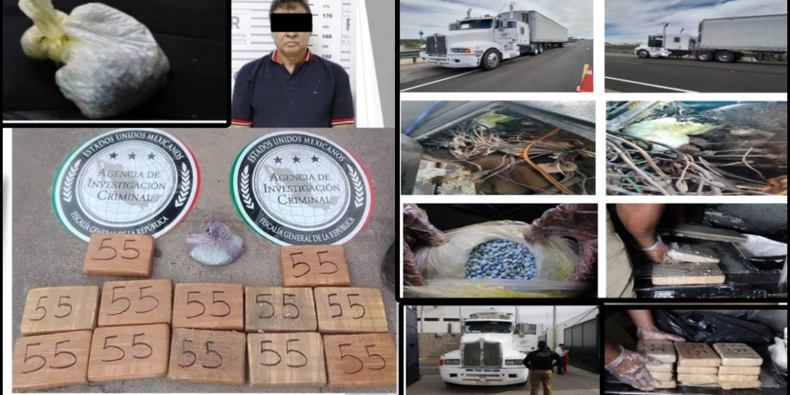 Detienen a hombre y decomisan 13 kilos de fentanilo en operativo en Hermosillo