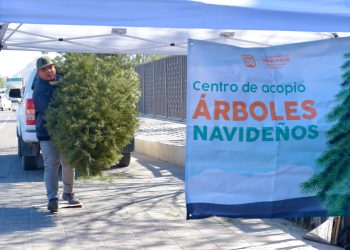 Llama Gobierno Municipal a aprovechar los centros de acopio de pinos navideños
