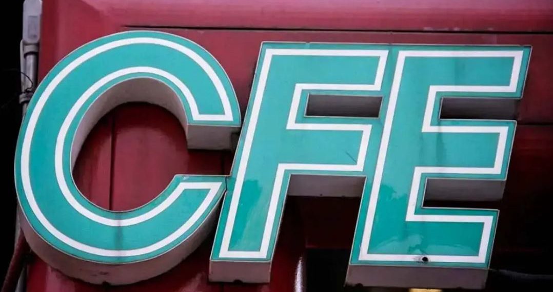 Caen 94% ganancias de CFE en primer trimestre de 2024