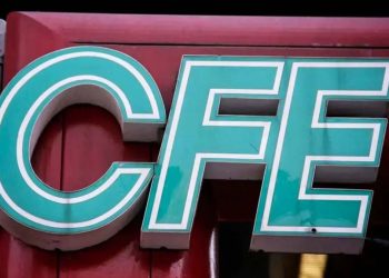 Caen 94% ganancias de CFE en primer trimestre de 2024