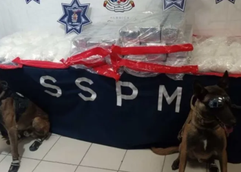 Arrestan a dos traficantes con más de 110 kilos de “crystal” en Ciudad Juárez, Chihuahua