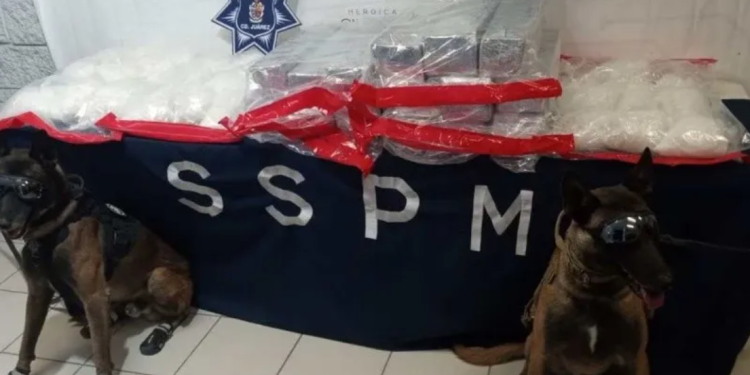 Arrestan a dos traficantes con más de 110 kilos de “crystal” en Ciudad Juárez, Chihuahua