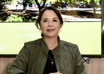 Invitan a curso sobre plantas nativas de la Universidad de Arizona