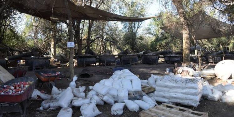 Cuatro narcolaboratorios han sido desmantelados en febrero en Sonora
