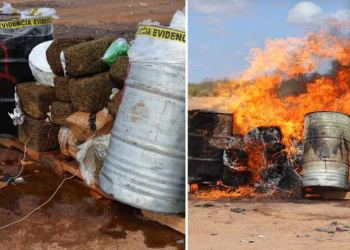 Autoridades incineran 106 kilos narcóticos y 470 litros de metanfetamina líquida en Hermosillo