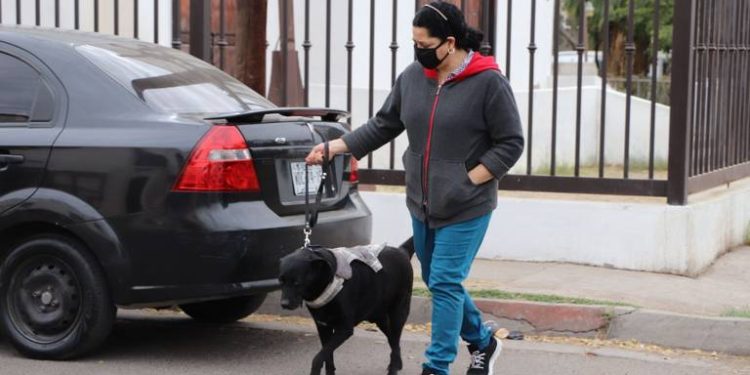 &nbsp;Temporada invernal cobra 23 vidas en Sonora, por Influenza y Covid-19