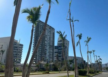 Huracán Otis costó casi mil 500 mdp a Walmart