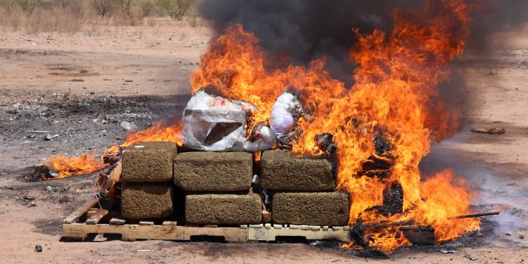 Incinera FGR 120 kilos de narcóticos en Hermosillo.
