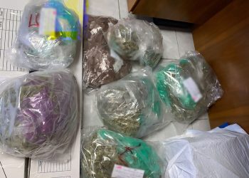 Por aseguramiento de 1,857 dosis de marihuana, metanfetamina, heroína y “cuerno de chivo” FGR inicia investigación contra dos personas en SLRC.