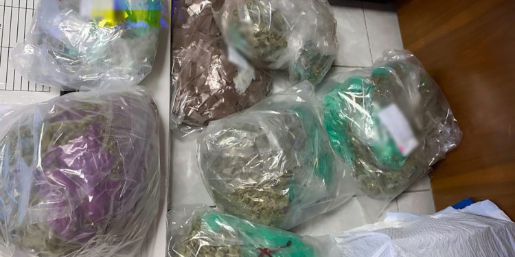 Por aseguramiento de 1,857 dosis de marihuana, metanfetamina, heroína y “cuerno de chivo” FGR inicia investigación contra dos personas en SLRC.