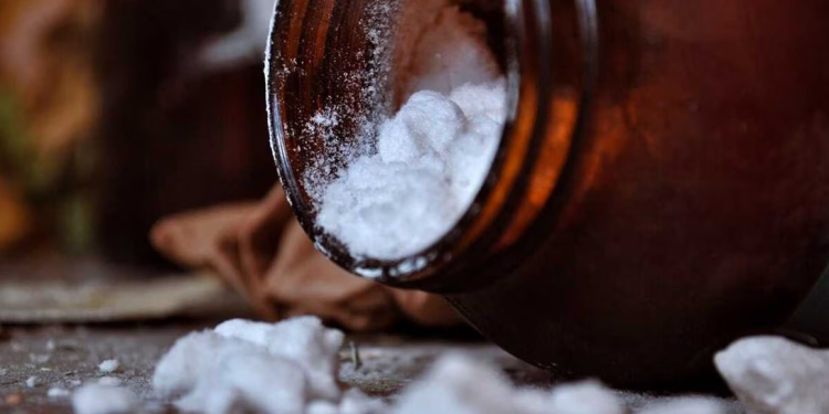 Ecuador incauta cerca de 1.5 toneladas de clorhidrato de cocaína con destino a México