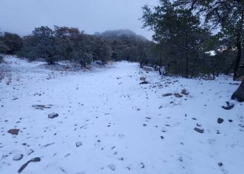 Cae primera nevada de la temporada y pinta de blanco Cananea