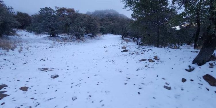 Cae primera nevada de la temporada y pinta de blanco Cananea