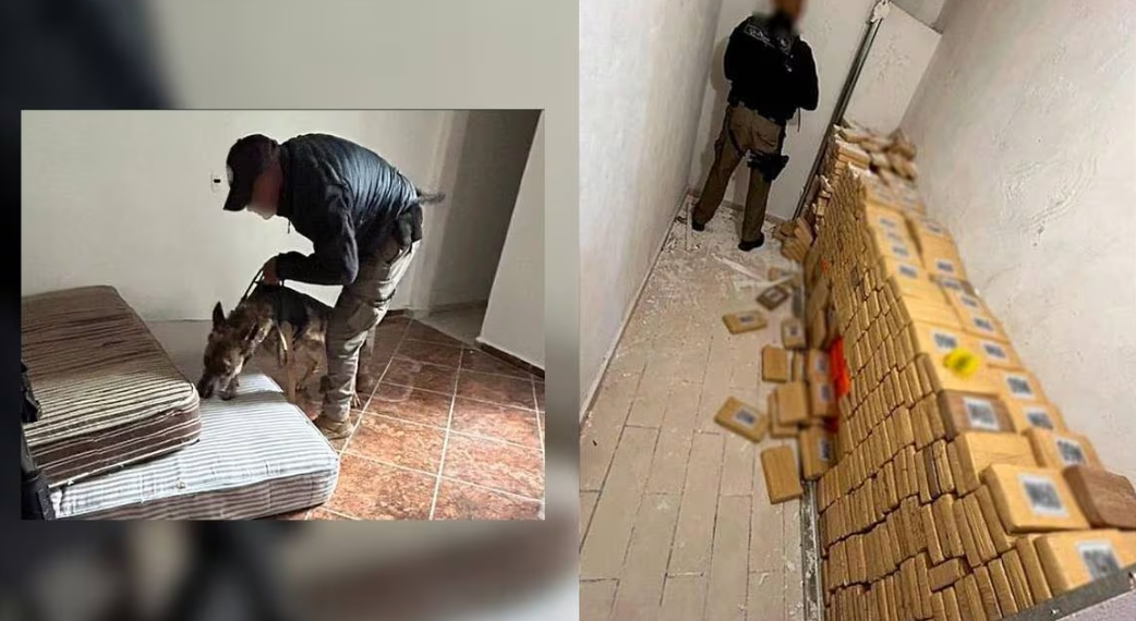 Hallan mil 400 kilos de cocaína oculta en pared de triplay en Hidalgo