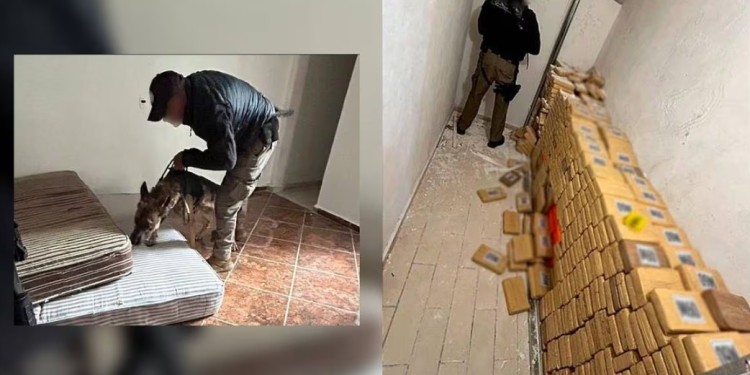 Hallan mil 400 kilos de cocaína oculta en pared de triplay en Hidalgo