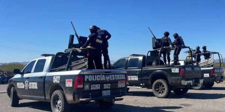 Abandonan hieleras con restos humanos en las casetas de Santa Ana y Altar, Sonora.