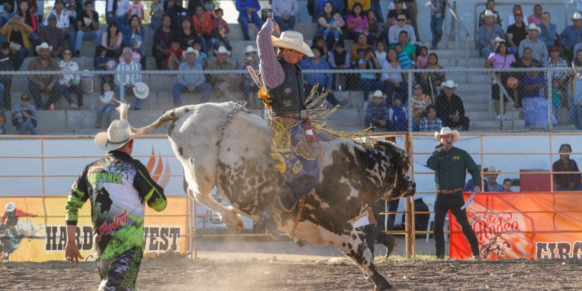 Se realiza la penúltima fecha del Circuito de Rodeo Tour Sonora 2023 en Navojoa
