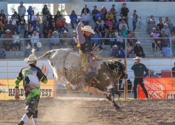 Se realiza la penúltima fecha del Circuito de Rodeo Tour Sonora 2023 en Navojoa