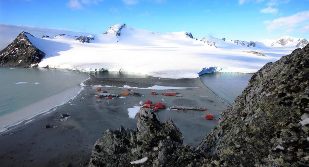 Confirmada por primera vez la presencia del virus de gripe aviar en la Antártida