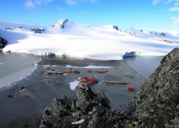 Confirmada por primera vez la presencia del virus de gripe aviar en la Antártida