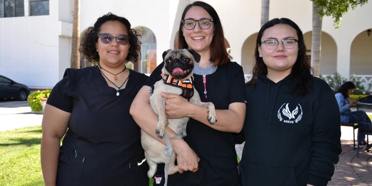 Invitan estudiantes de Veterinaria a Jornada de Salud Animal gratuita; será el 11 de abril