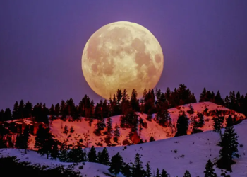 ¡No te lo pierdas! ¿Cuándo y a qué hora ver la Luna rosa llena de abril en México?