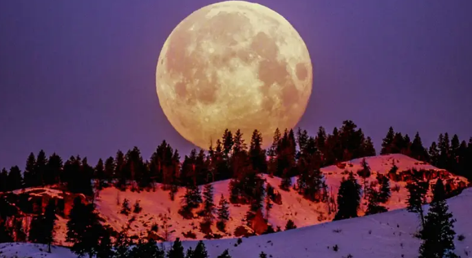 ¡No te lo pierdas! ¿Cuándo y a qué hora ver la Luna rosa llena de abril en México?