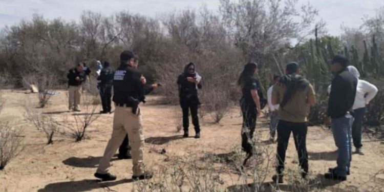 Localizan Madres Buscadoras de Sonora restos óseos cerca de la carretera San Pedro-Pesqueira