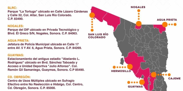 Repuve instalará módulos fijos en municipios para regularizar vehículos usados de procedencia extranjera