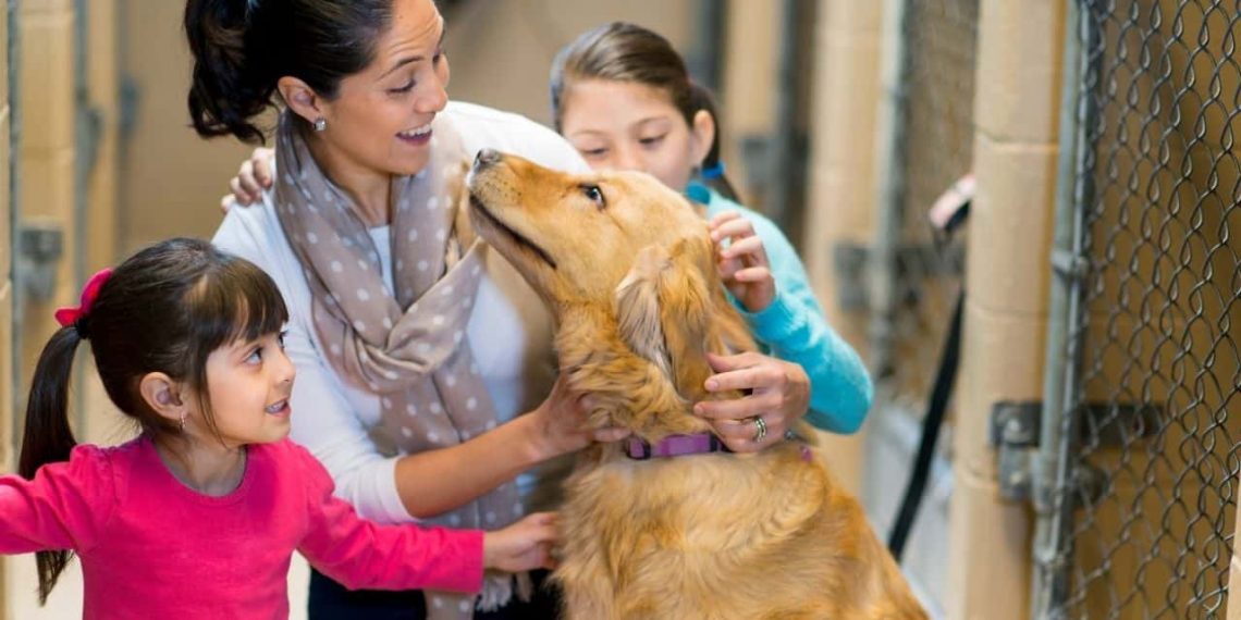 Adoptaron familias más de 300 mascotas mediante estrategia del Gobierno de Hermosillo