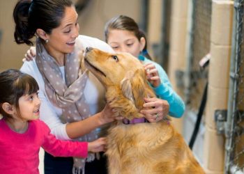 Adoptaron familias más de 300 mascotas mediante estrategia del Gobierno de Hermosillo