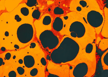 Científicos logran eliminar el VIH de células infectadas