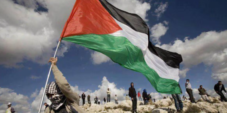 CNDH denuncia ataques de Israel contra civiles palestinos