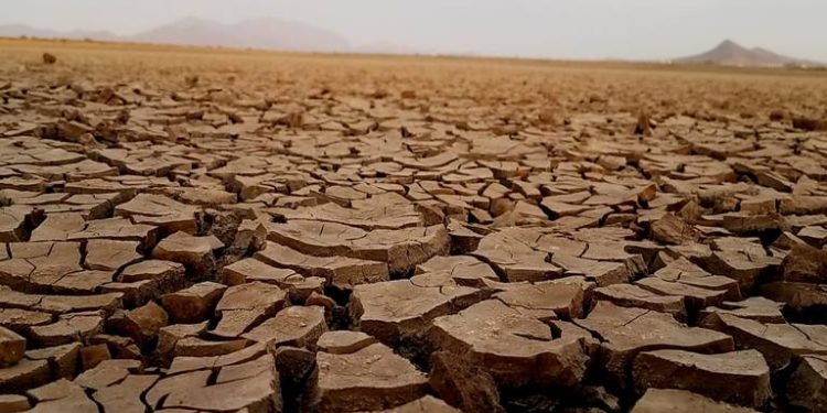 Presas de Sonora están en bajo nivel: reúnen solo 20% de agua almacenada