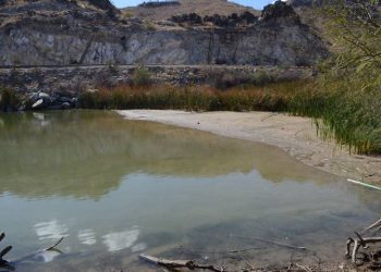 Autoridades proponen uso de aguas residuales para abastecer al humedal de La Sauceda