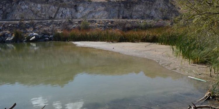 Autoridades proponen uso de aguas residuales para abastecer al humedal de La Sauceda