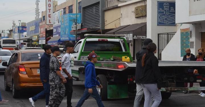 Ambientalistas piden más árboles en el Centro para reducir contaminación de autos