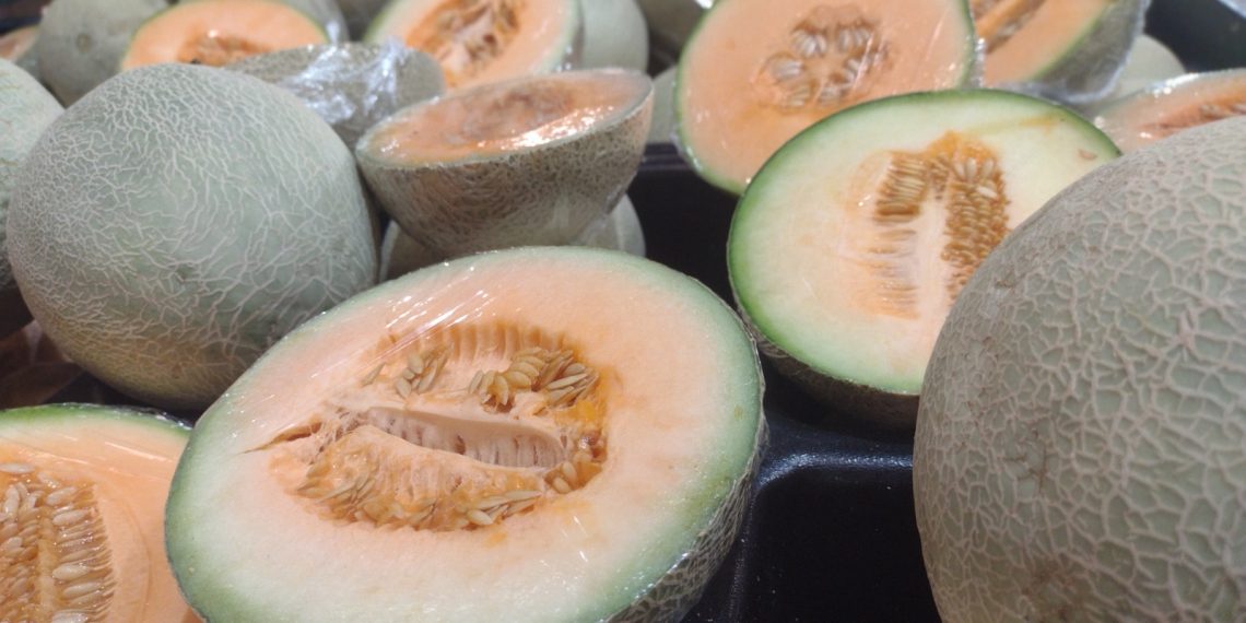 Descartan Senasica y Cofepris que el melón sonorense fuera causante de brote de salmonella en Estados Unidos y Canadá