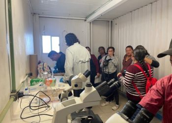 Capacita el IAES a mujeres pescadoras de Kino para aprovechamiento sustentable de la almeja arrocera