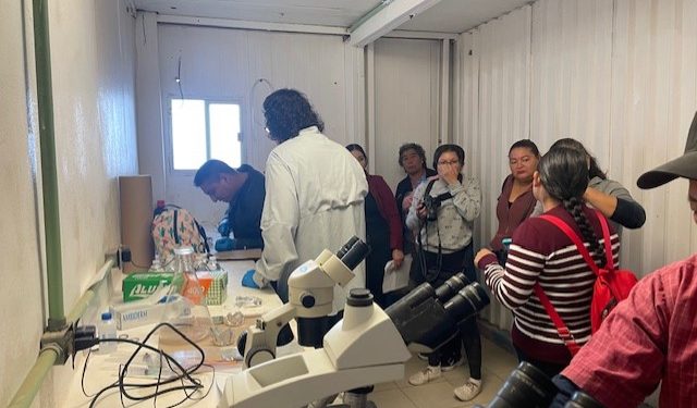 Capacita el IAES a mujeres pescadoras de Kino para aprovechamiento sustentable de la almeja arrocera