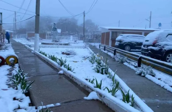 Sonora se pinta de blanco tras nevada en plena primavera