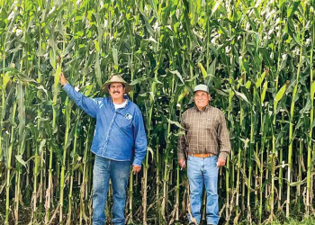 Exprime a México la agricultura ineficaz