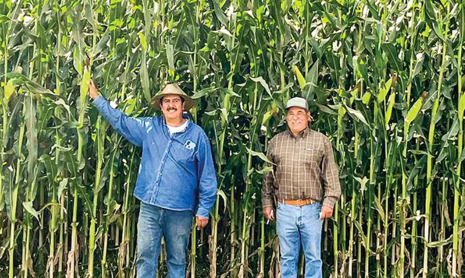 Exprime a México la agricultura ineficaz