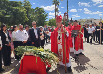 Con la bendición de la palma la Iglesia Católica da inicio a la Semana Santa