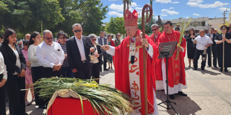 Con la bendición de la palma la Iglesia Católica da inicio a la Semana Santa