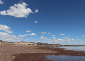 Sonora se queda sin agua: Presa El Novillo está casi vacía, con solo el 13%