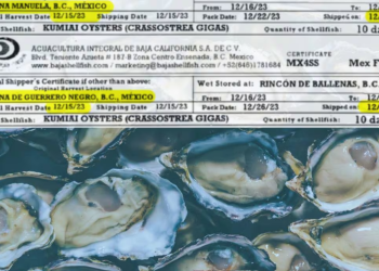 Expanden investigación de ostras de Sonora vinculadas a enfermedades en San Diego