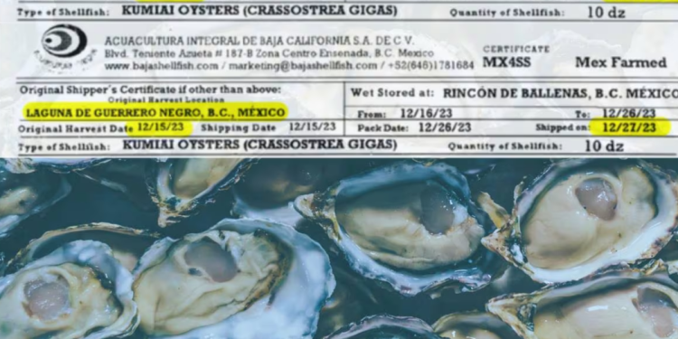 Expanden investigación de ostras de Sonora vinculadas a enfermedades en San Diego